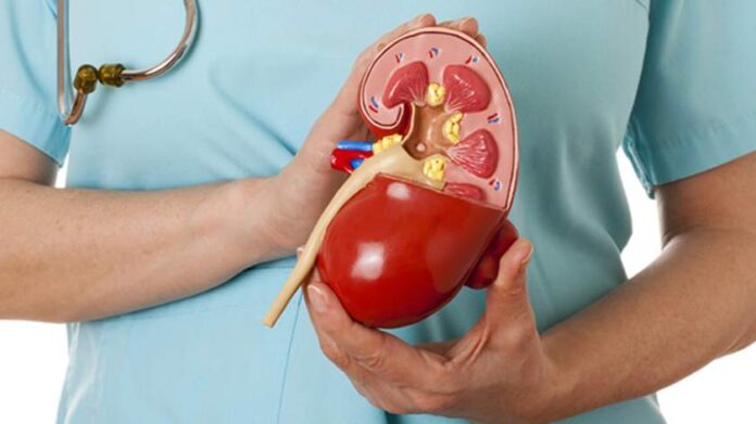 Cirurgia de Vesícula