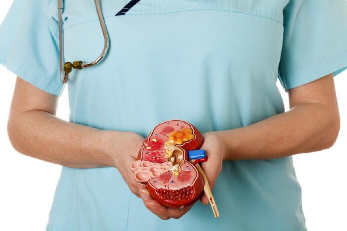 Cirurgia Pedra Nos Rins