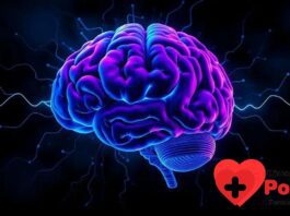 Disritmia Cerebral: Desvendando os Mistérios do Cérebro